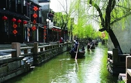 春雨直播app